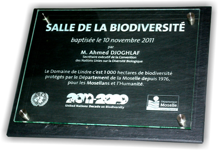 Plaque inauguration en verre gravé et ardoise naturelle