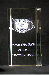 Plaque professionnelle en ardoise en verre