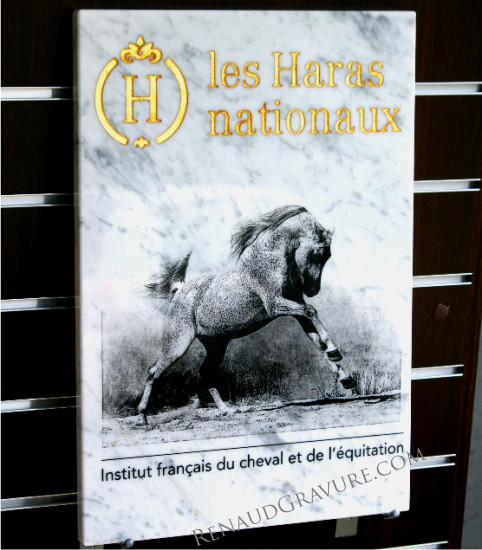 Plaque inauguration en marbre de Carrare gravé et doré à la feuille d'or 24 carats avec un cheval gravé