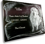 Plaque professionnelle en ardoise en verre