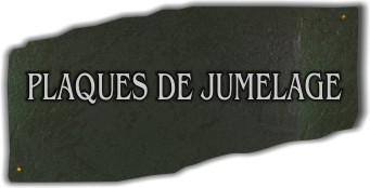 plaques de jumelages en ardoise, verre, marbre ou granit