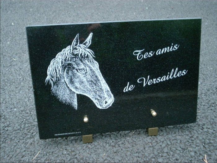 Cheval grav&eacute; &agrave; la pointe diamant sur une plaque fun&eacute;raire haut de gamme