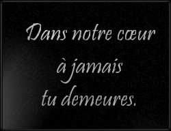 Choisissez un style de lettrage pour  plaque funeraire