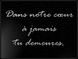 Choisissez un style de lettrage pour  plaque funeraire