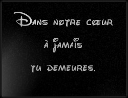 Choisissez un style de lettrage pour  plaque funeraire