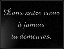 Choisissez un style de lettrage pour  plaque funeraire