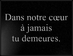 Choisissez un style de lettrage pour  plaque funeraire