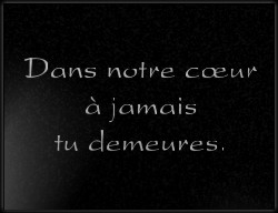 Choisissez un style de lettrage pour  plaque funeraire