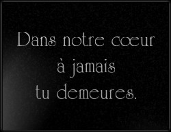 Choisissez un style de lettrage pour  plaque funeraire