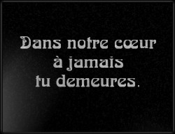 Choisissez un style de lettrage pour  plaque funeraire