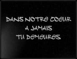 Choisissez un style de lettrage pour  plaque funeraire