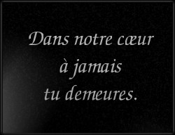 Choisissez un style de lettrage pour  plaque funeraire