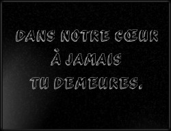 Choisissez un style de lettrage pour  plaque funeraire