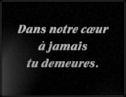 Choisissez un style de lettrage pour  plaque funeraire