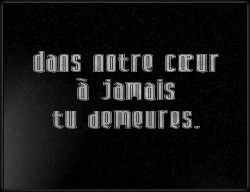 Choisissez un style de lettrage pour  plaque funeraire