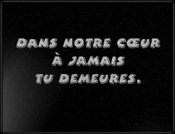 Choisissez un style de lettrage pour  plaque funeraire