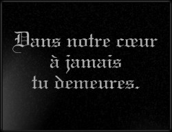 Choisissez un style de lettrage pour  plaque funeraire