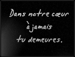 Choisissez un style de lettrage pour  plaque funeraire