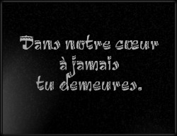 Choisissez un style de lettrage pour  plaque funeraire