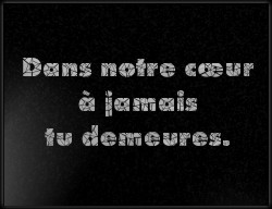 Choisissez un style de lettrage pour  plaque funeraire
