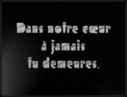 Choisissez un style de lettrage pour  plaque funeraire