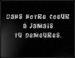 Choisissez un style de lettrage pour  plaque funeraire