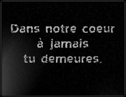 Choisissez un style de lettrage pour  plaque funeraire