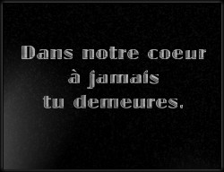 Choisissez un style de lettrage pour  plaque funeraire