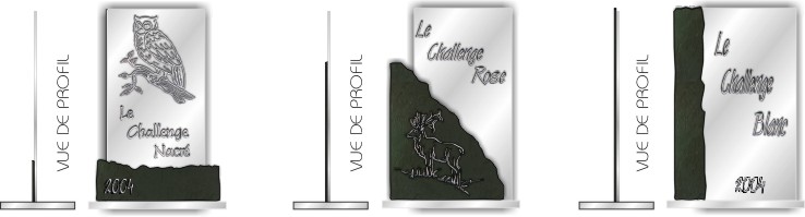 Trophées en ardoise - trophées en verre - trophées en pierre